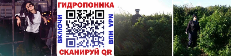 Виды наркоты Славгород СК Конопля КОКАИН