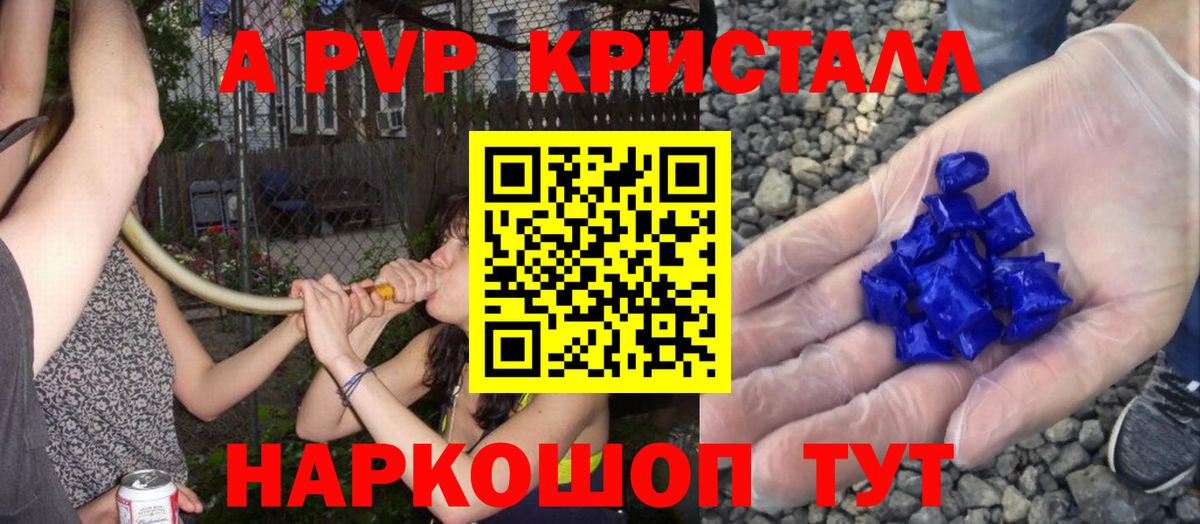 APVP СК Славгород