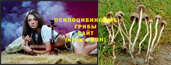 ECSTASY Белоозёрский